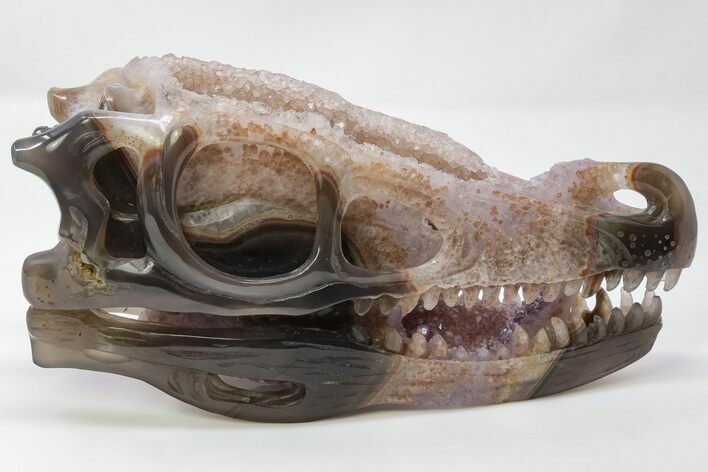 Carved, Amethyst Crystal Geode Dinosaur Skull - Roar! #199471